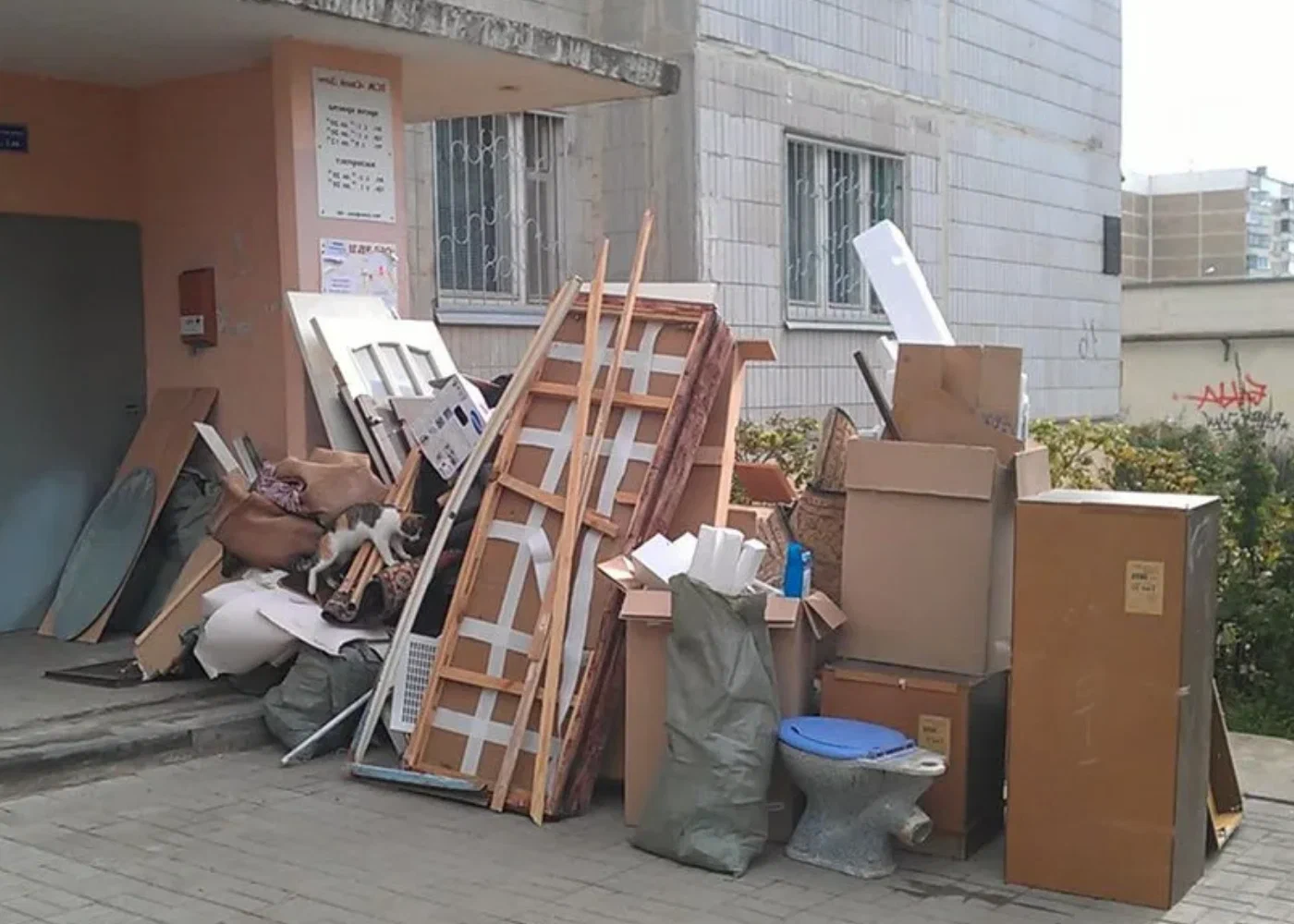 Профессиональный вывоз мусора из квартиры в Магнитогорске в октябре