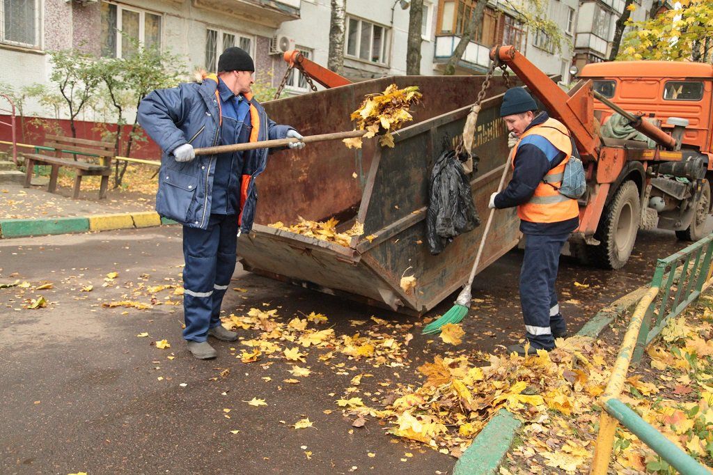 Вывоз опавшей листвы и растительного мусора в Магнитогорске от ПроМусор – цена от 4655 руб., быстрая уборка и утилизация